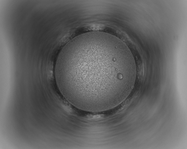X0000112920553200908311259