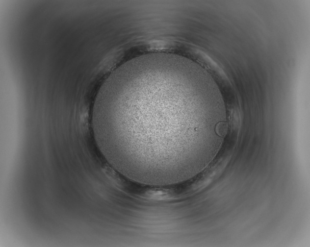 X0000112920557200908311259