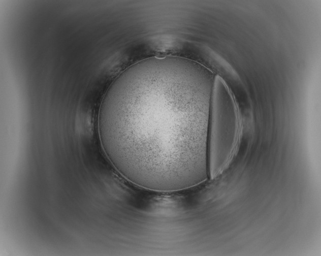 X0000112920558200908311259