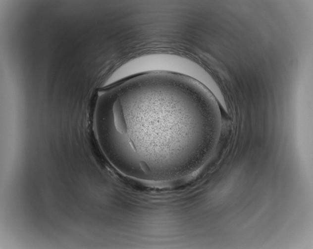 X0000112920560200908311259