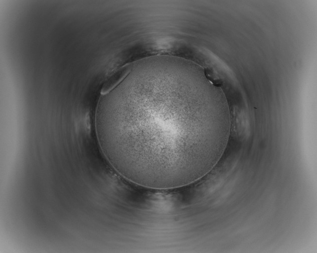 X0000112920562200908311259