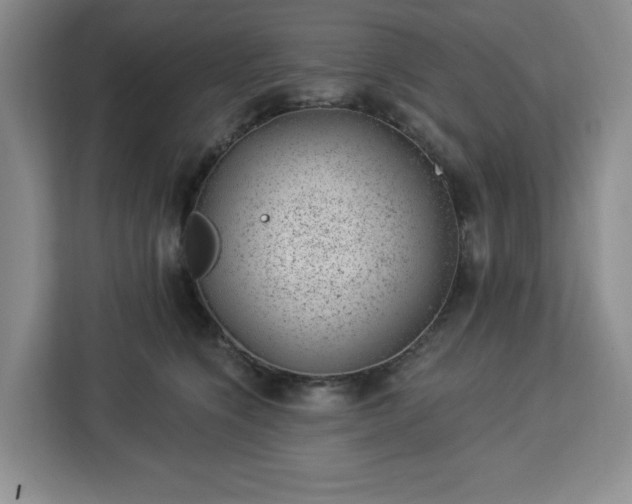 X0000112920564200908311259