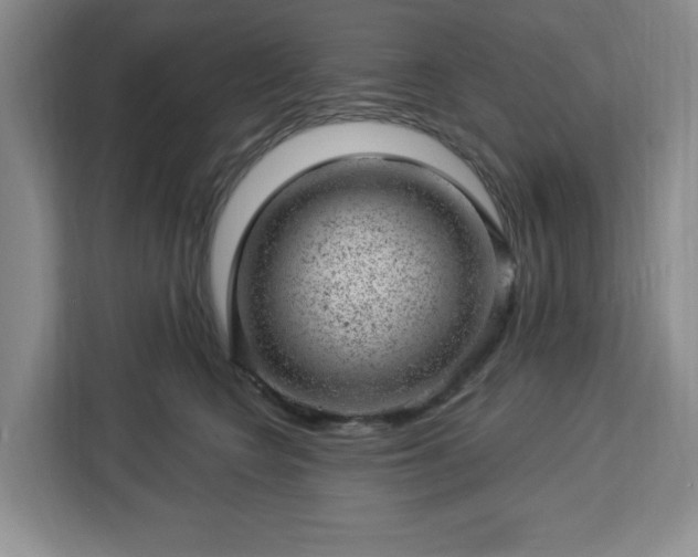 X0000112920566200908311259