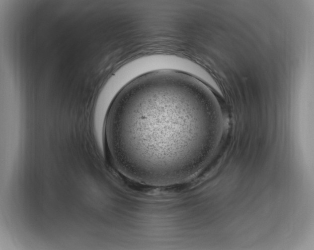 X0000112920568200908311259