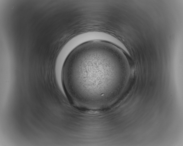 X0000112920570200908311259