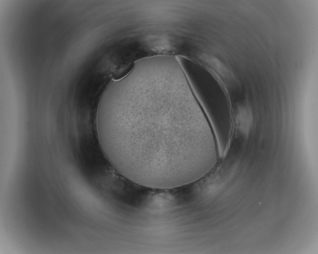 X0000112920572200908311259