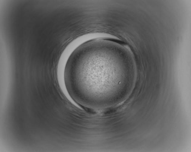 X0000112920576200908311259