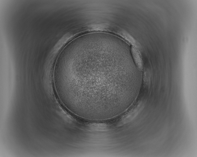 X0000112920577200908311259