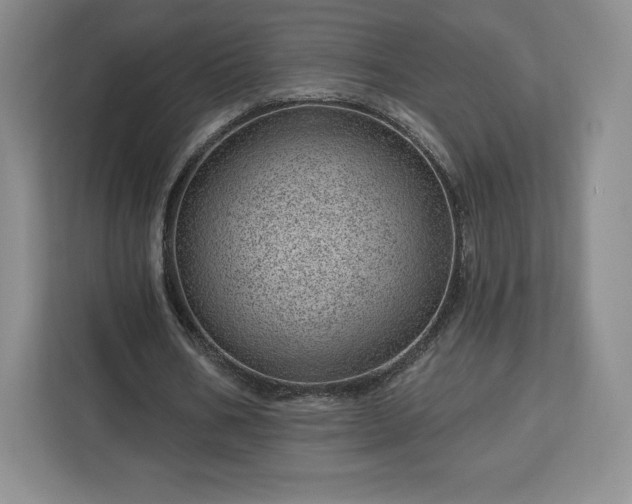 X0000112920578200908311259