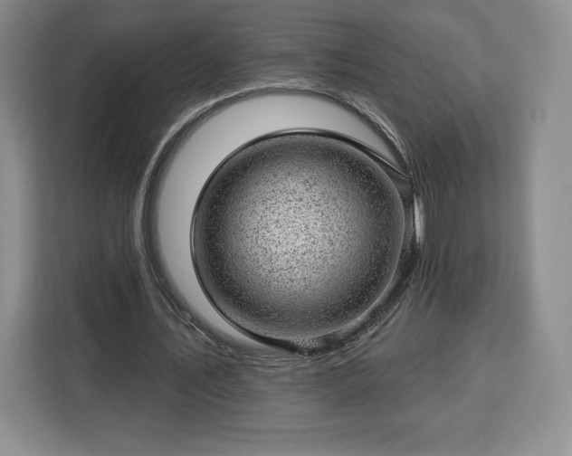 X0000112920579200908311259
