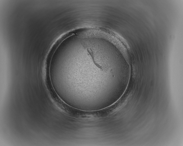 X0000112920580200908311259