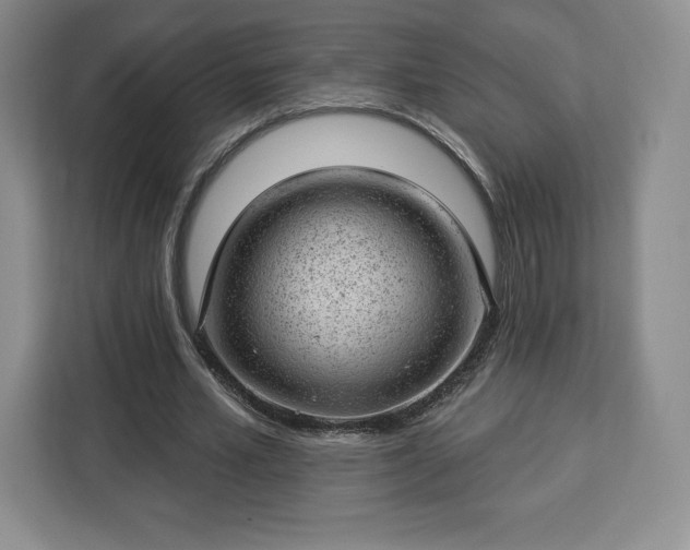 X0000112920581200908311259