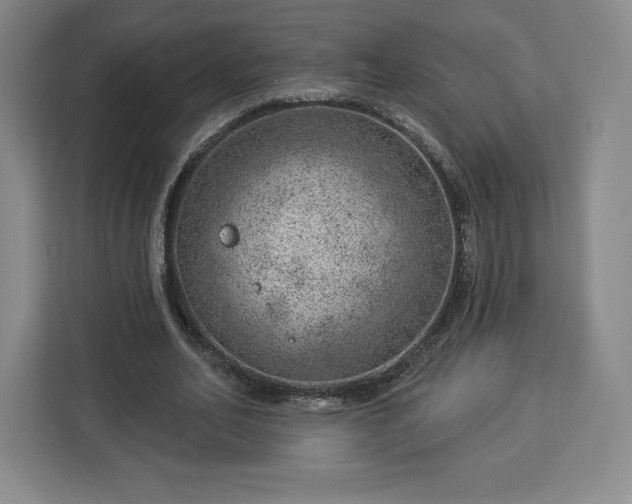 X0000112920582200908311259