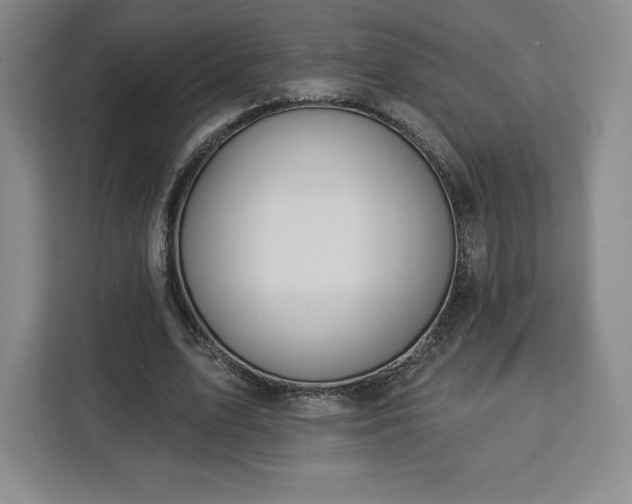 X0000112920583200908311259