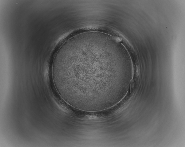 X0000112920588200908311259