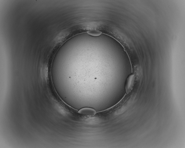 X0000112920589200908311259