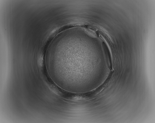 X0000112920596200908311259