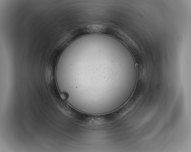 X0000112920599200908311259
