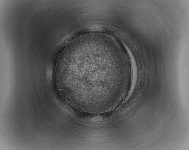 X0000112920600200908311259
