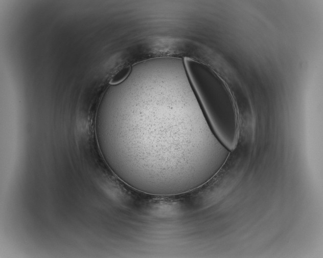X0000112920601200908311259