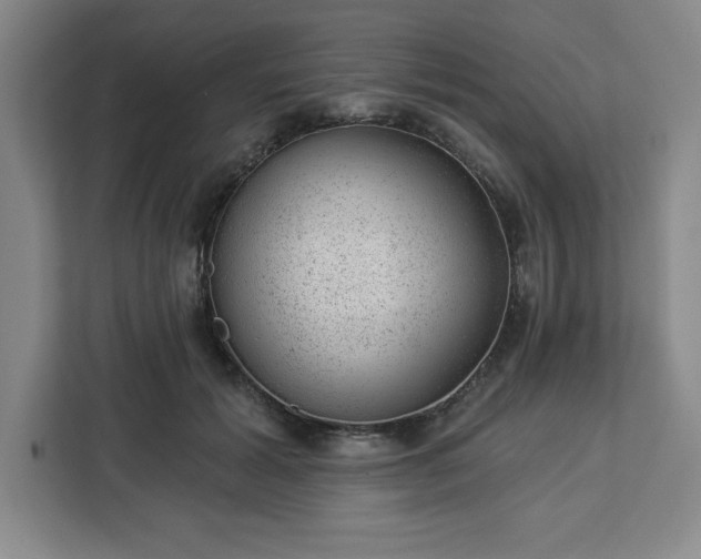 X0000112920605200908311258