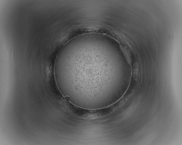 X0000112920608200908311258