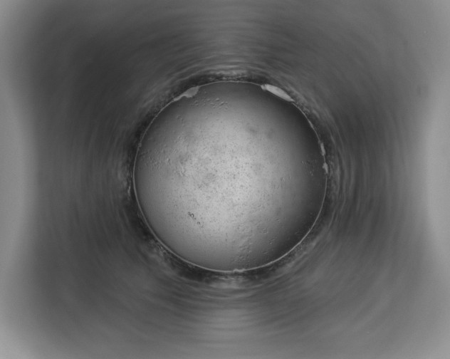 X0000112920609200908311258