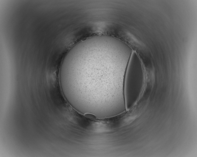 X0000112920611200908311258