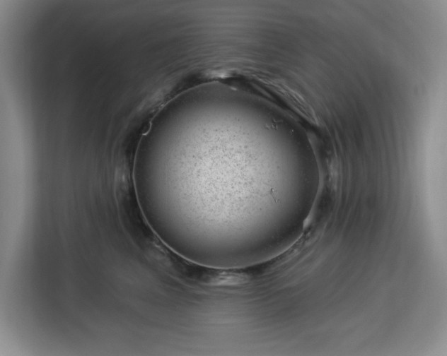X0000112920617200908311258
