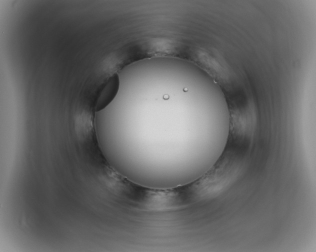 X0000112920621200908311258