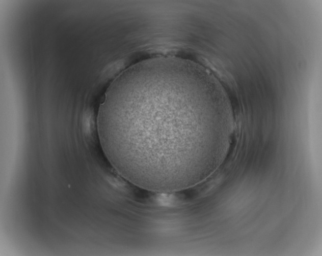 X0000112920623200908311258