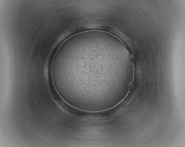 X0000112920626200908311258