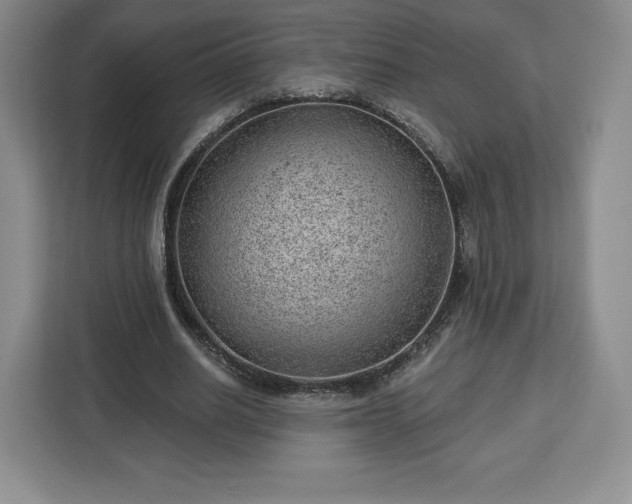 X0000112920630200908311258