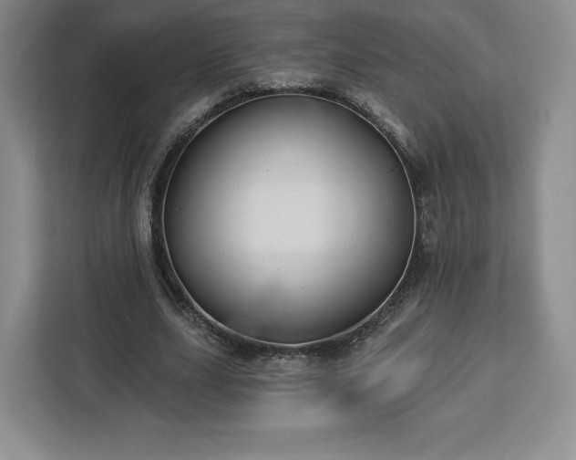 X0000112920631200908311258