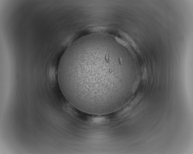 X0000112920669200908311258