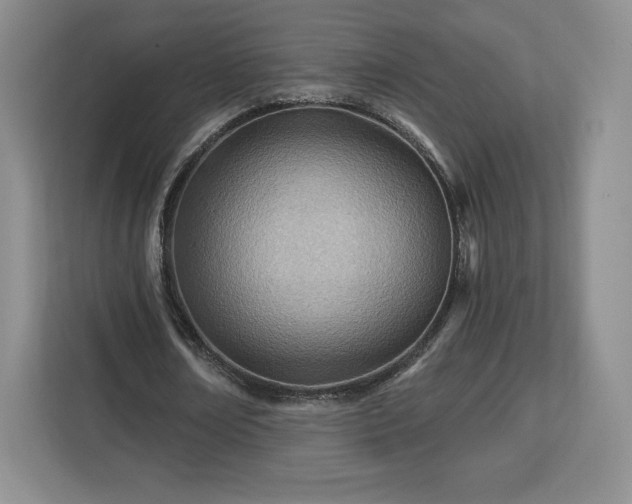 X0000112920674200908311258