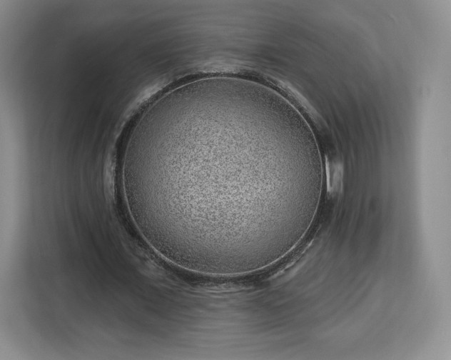 X0000112920675200908311258