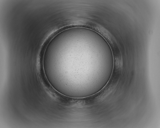 X0000112920676200908311258