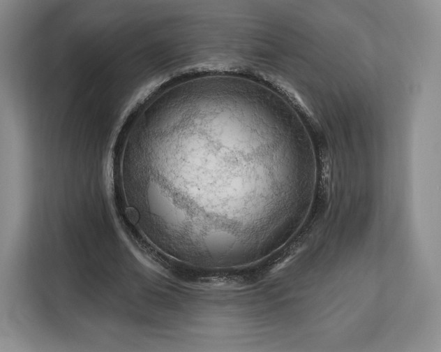 X0000112920678200908311258