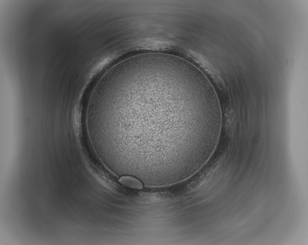 X0000112920679200908311258