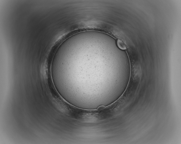 X0000112920680200908311257