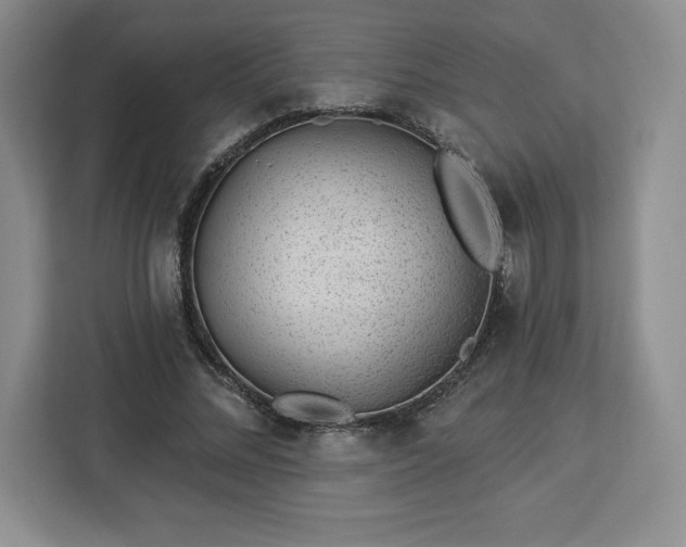 X0000112920684200908311257