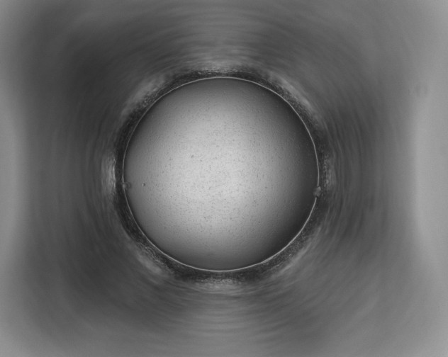 X0000112920685200908311257
