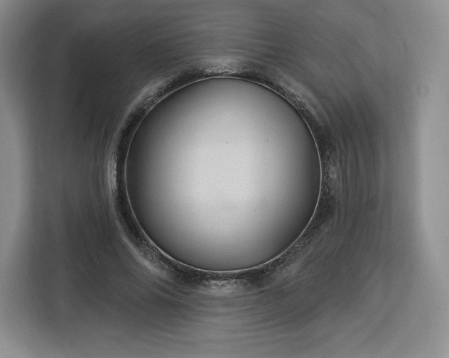 X0000112920686200908311257
