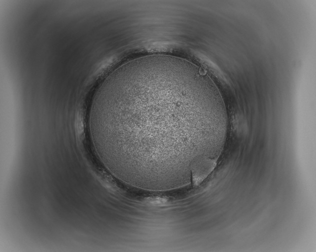 X0000112920687200908311257