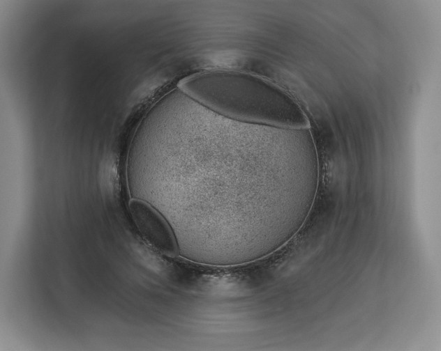 X0000112920688200908311257