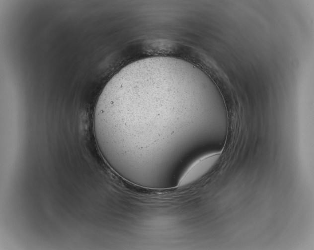 X0000112920701200908311257