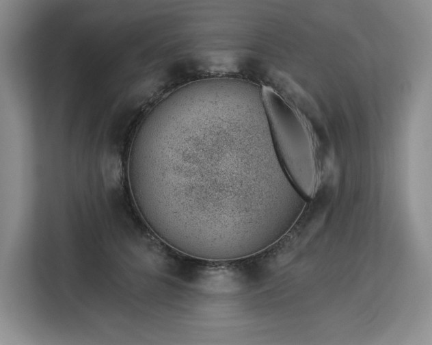 X0000112920704200908311257