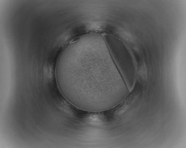X0000112920708200908311257