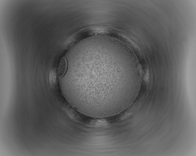 X0000112920715200908311257